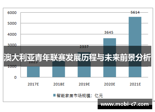 澳大利亚青年联赛发展历程与未来前景分析