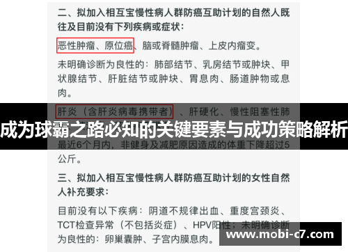 成为球霸之路必知的关键要素与成功策略解析