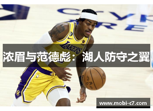 浓眉与范德彪：湖人防守之翼