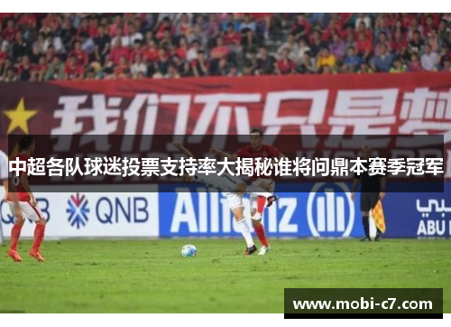 中超各队球迷投票支持率大揭秘谁将问鼎本赛季冠军