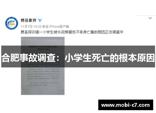 合肥事故调查：小学生死亡的根本原因