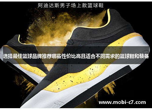选择最佳篮球品牌推荐哪些性价比高且适合不同需求的篮球鞋和装备