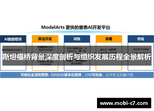 斯坦福桥背景深度剖析与组织发展历程全景解析