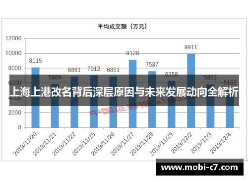 上海上港改名背后深层原因与未来发展动向全解析