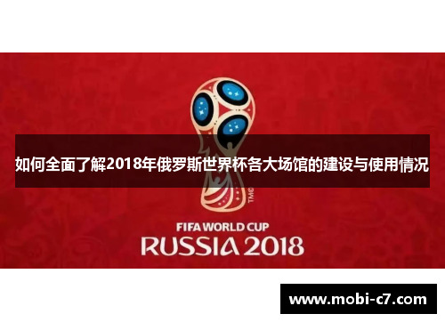 如何全面了解2018年俄罗斯世界杯各大场馆的建设与使用情况