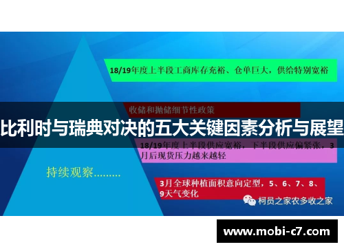 比利时与瑞典对决的五大关键因素分析与展望